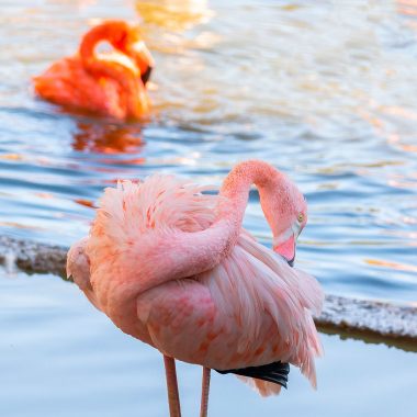 O Título do Post Fica Aqui Neste Espaço Centralizado