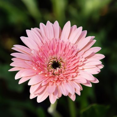 O Título do Post Fica Aqui Neste Espaço Centralizado