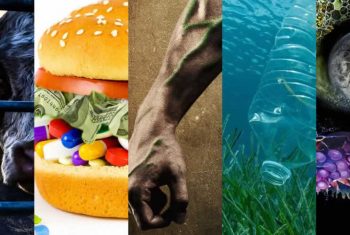 5 Documentários Para Assistir na Netflix