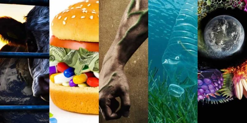5 Documentários Para Assistir na Netflix